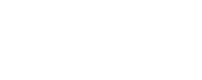 Business Data Services